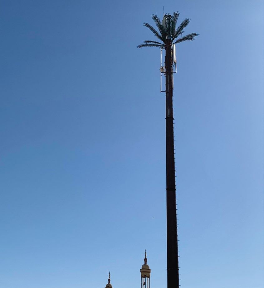 Camouflage palm tree telecom mast